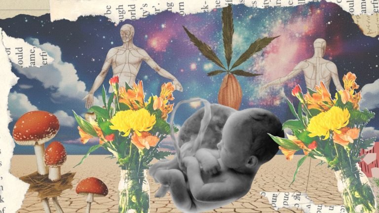 WhatsApp Image 2025-10-31 at 1.49.15 AM